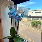 Filton's 2 Bedroom Flat With Parking Next To Filton College *