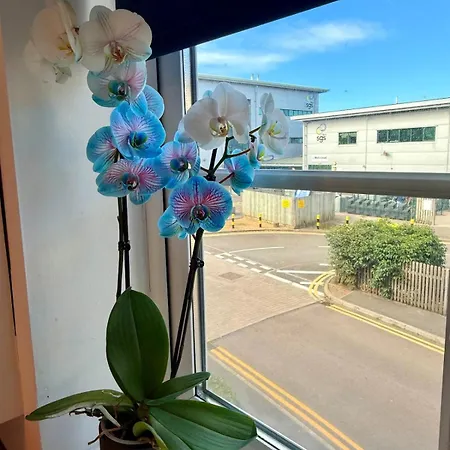 Апартаменти Filton's 2 Bedroom Flat With Parking Next To Filton College Бристоль