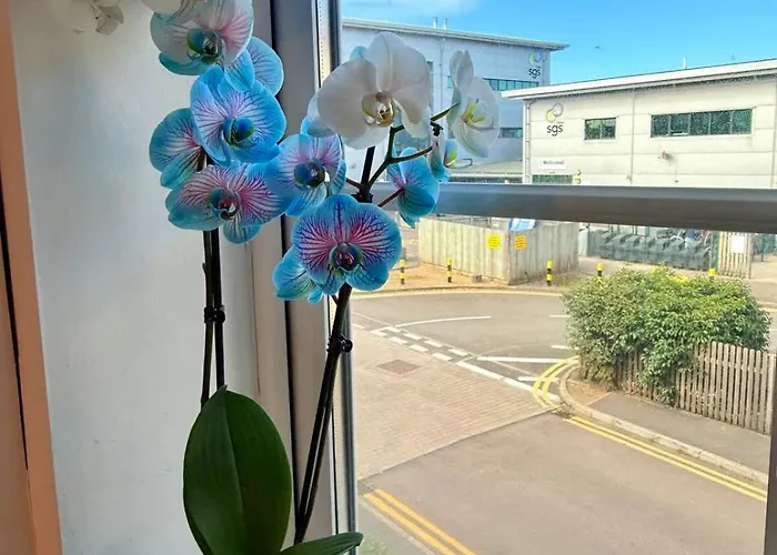 Filton's 2 Bedroom Flat With Parking Next To Filton College *